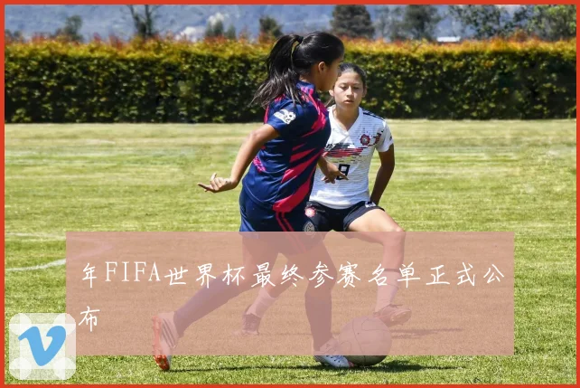 年FIFA世界杯最终参赛名单正式公布