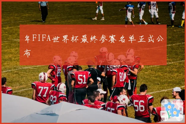 年FIFA世界杯最终参赛名单正式公布